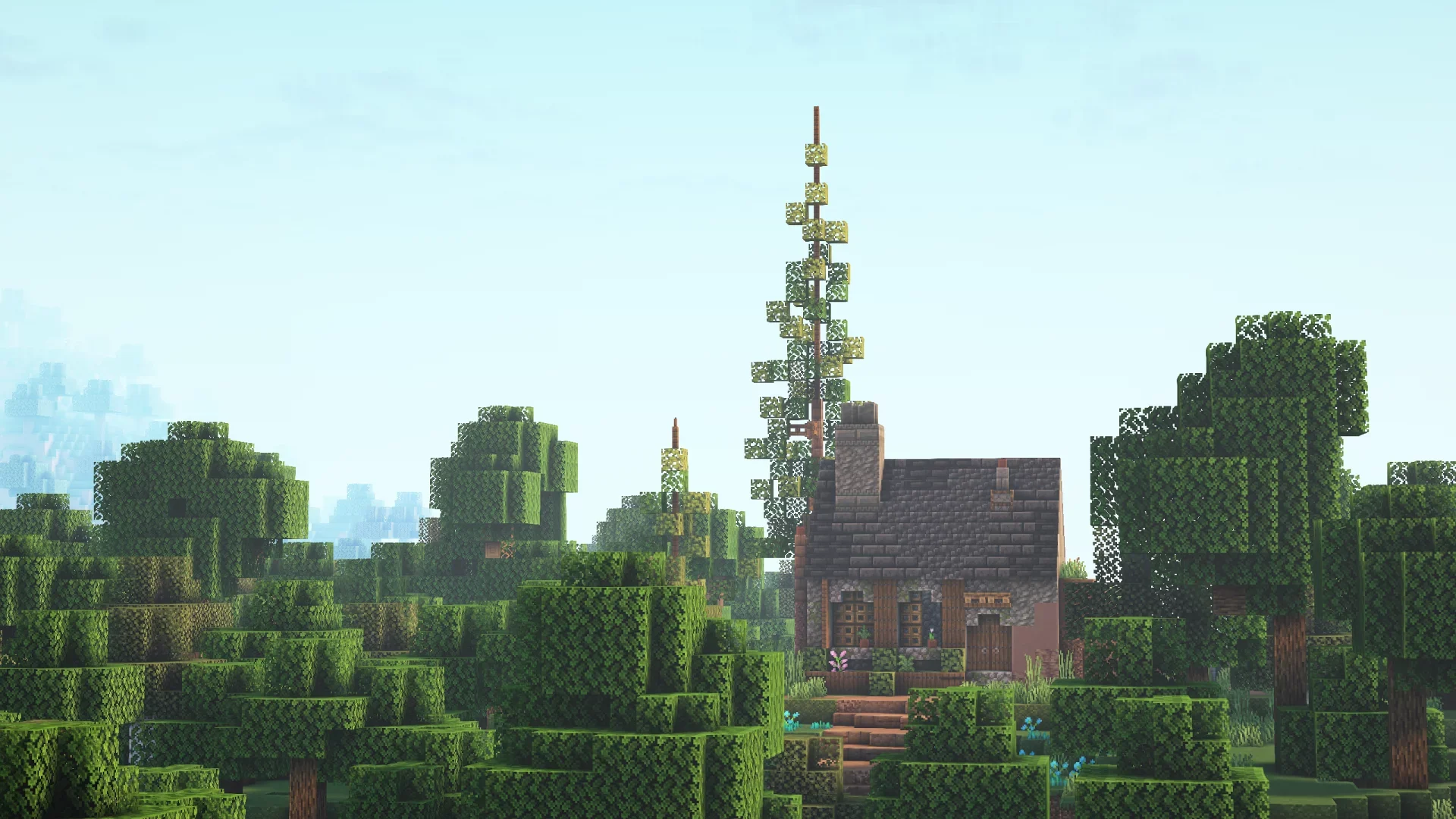 Simple Starter Home - Image 8