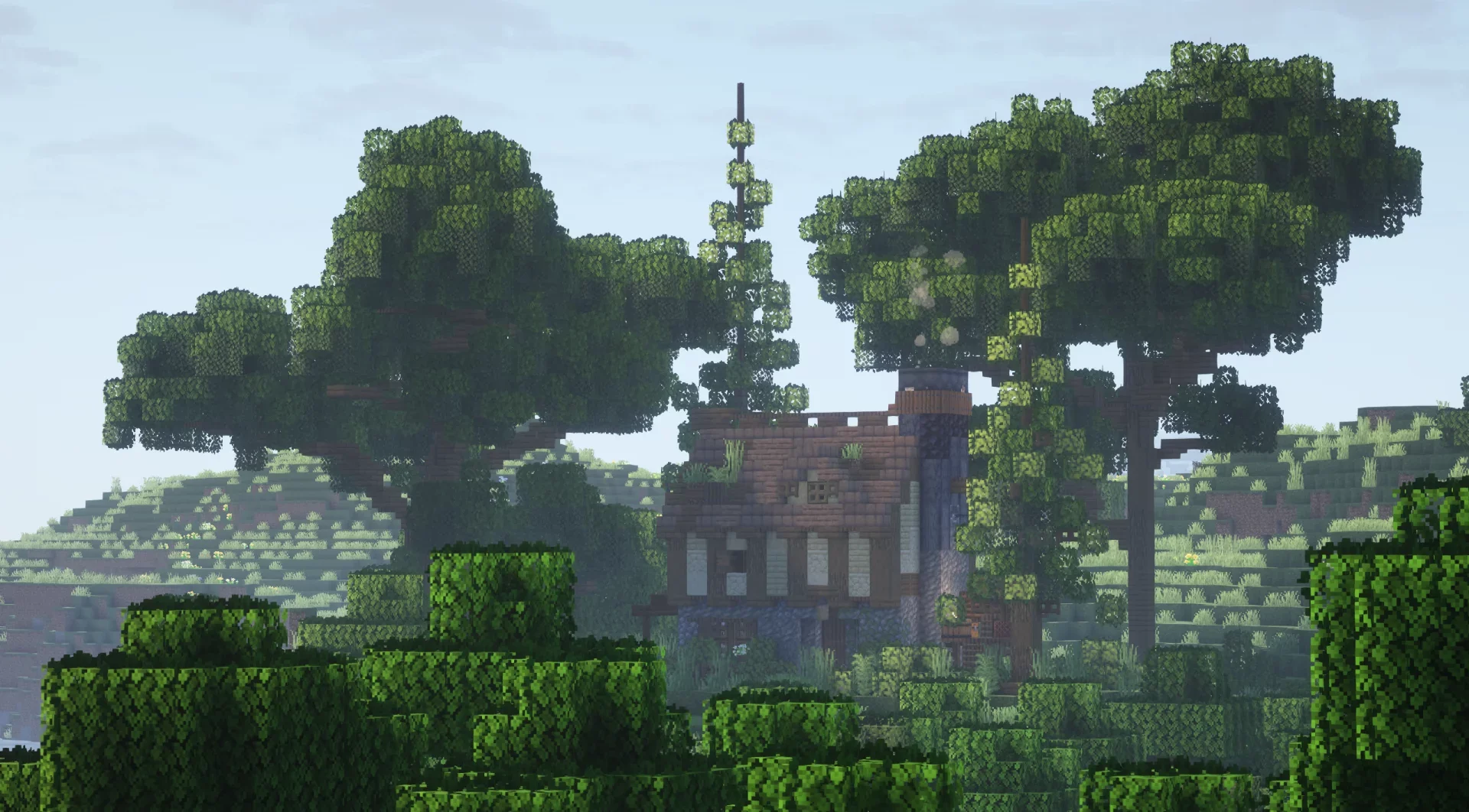 Starter Home - Image 4